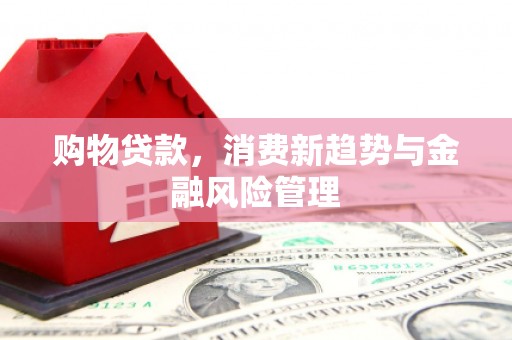 江华购物贷款，消费新趋势与金融风险管理