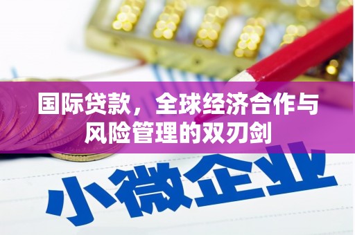 江华国际贷款，全球经济合作与风险管理的双刃剑