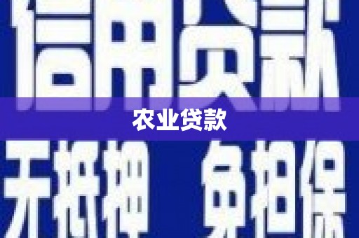 江华农业贷款