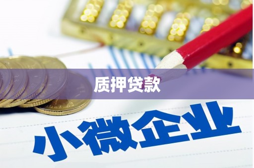 江华质押贷款