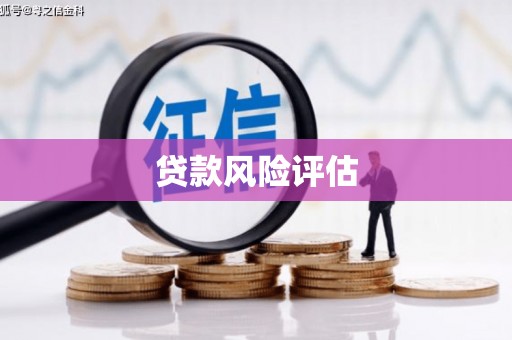 江华贷款风险评估