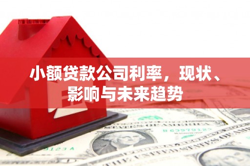 江华小额贷款公司利率，现状、影响与未来趋势