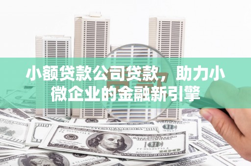 江华小额贷款公司贷款，助力小微企业的金融新引擎