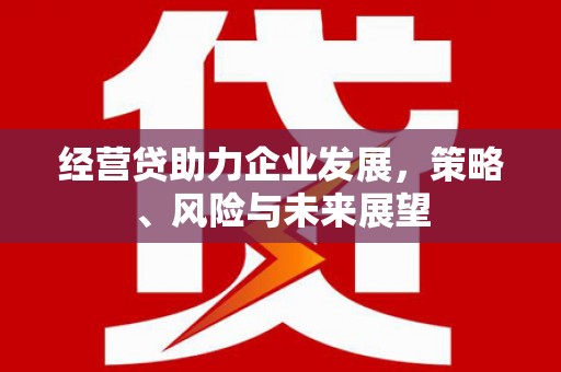 江华经营贷助力企业发展，策略、风险与未来展望