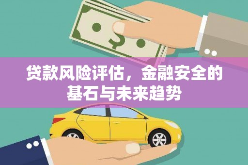 江华贷款风险评估，金融安全的基石与未来趋势