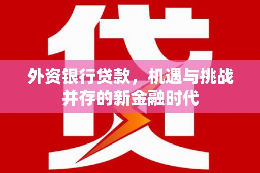 江华外资银行贷款，机遇与挑战并存的新金融时代