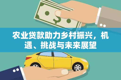 江华农业贷款助力乡村振兴，机遇、挑战与未来展望