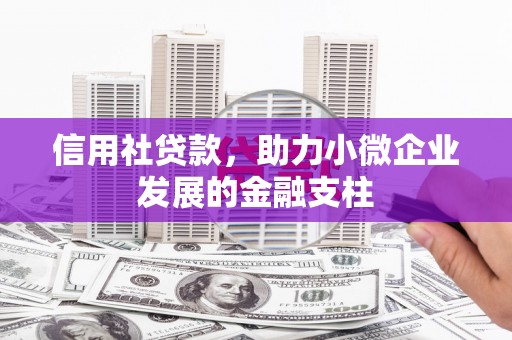江华信用社贷款，助力小微企业发展的金融支柱