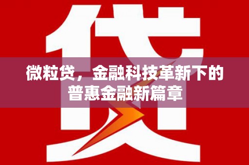江华微粒贷，金融科技革新下的普惠金融新篇章