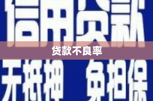 江华贷款不良率