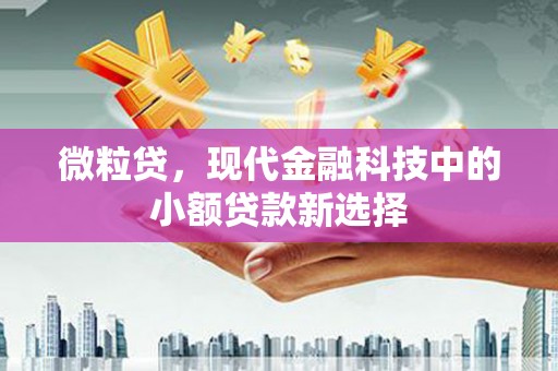 江华微粒贷，现代金融科技中的小额贷款新选择