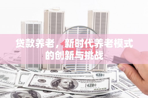 江华贷款养老，新时代养老模式的创新与挑战