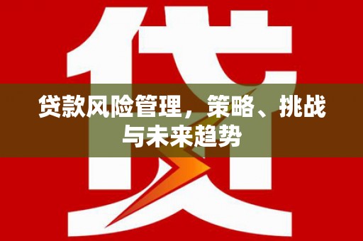 江华贷款风险管理，策略、挑战与未来趋势