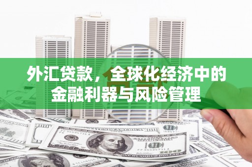 江华外汇贷款，全球化经济中的金融利器与风险管理
