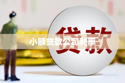 江华小额贷款公司利率