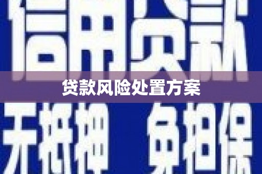 江华贷款风险处置方案
