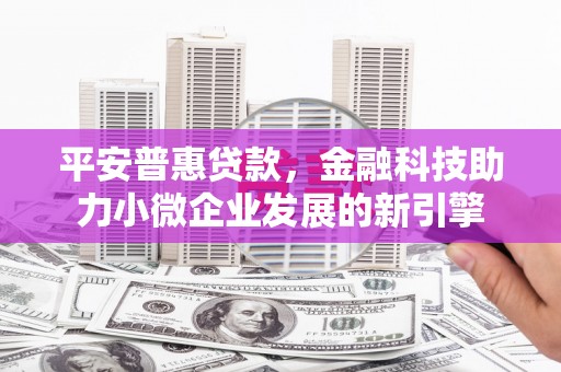 江华平安普惠贷款，金融科技助力小微企业发展的新引擎