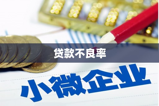 江华贷款不良率