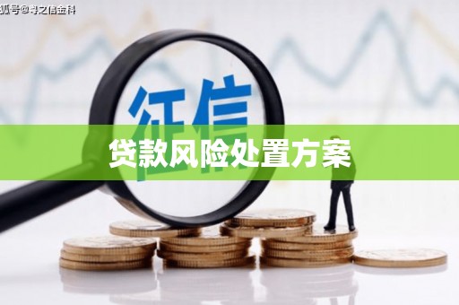 江华贷款风险处置方案