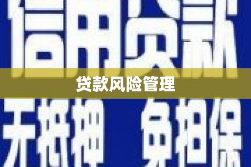 江华贷款风险管理