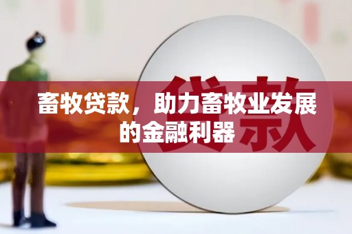 江华畜牧贷款，助力畜牧业发展的金融利器