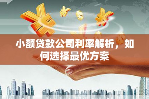 江华小额贷款公司利率解析，如何选择最优方案