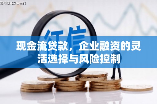 江华现金流贷款，企业融资的灵活选择与风险控制