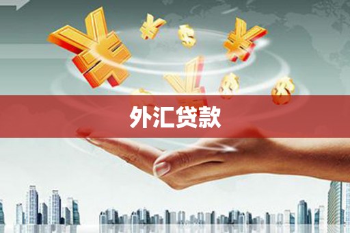 江华外汇贷款