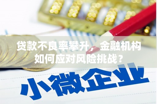 江华贷款不良率攀升，金融机构如何应对风险挑战？