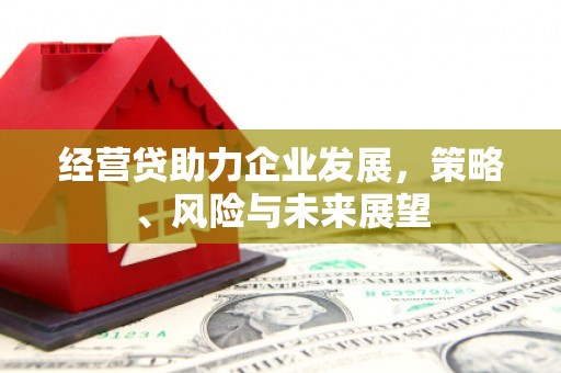 江华经营贷助力企业发展，策略、风险与未来展望
