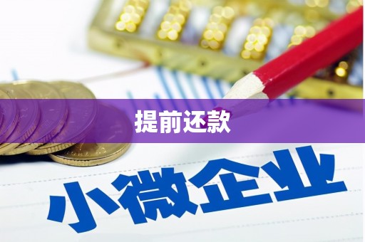 江华提前还款