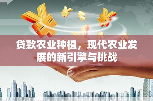 江华贷款农业种植，现代农业发展的新引擎与挑战