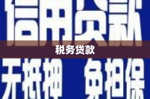江华税务贷款