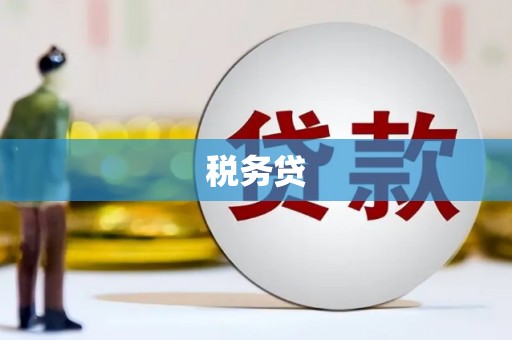 江华税务贷