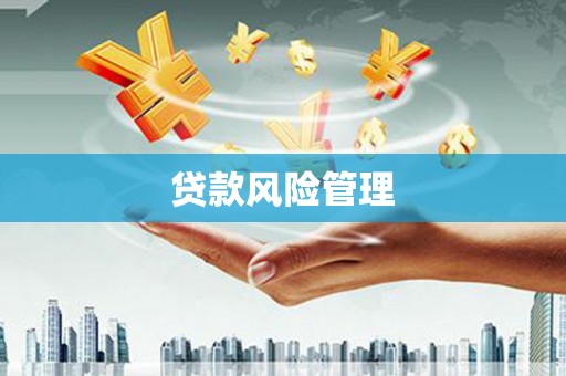 江华贷款风险管理