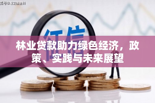 江华林业贷款助力绿色经济，政策、实践与未来展望