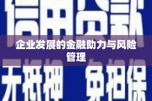 江华企业发展的金融助力与风险管理