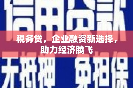 江华税务贷，企业融资新选择，助力经济腾飞