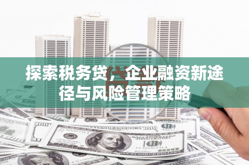 江华探索税务贷，企业融资新途径与风险管理策略