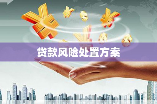 江华贷款风险处置方案