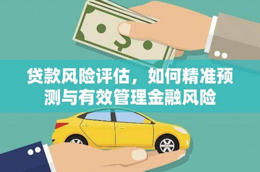 江华贷款风险评估，如何精准预测与有效管理金融风险