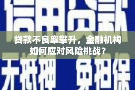 江华贷款不良率攀升，金融机构如何应对风险挑战？
