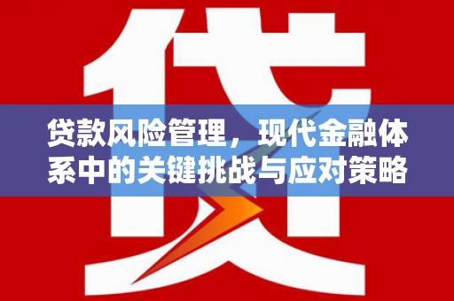 江华贷款风险管理，现代金融体系中的关键挑战与应对策略