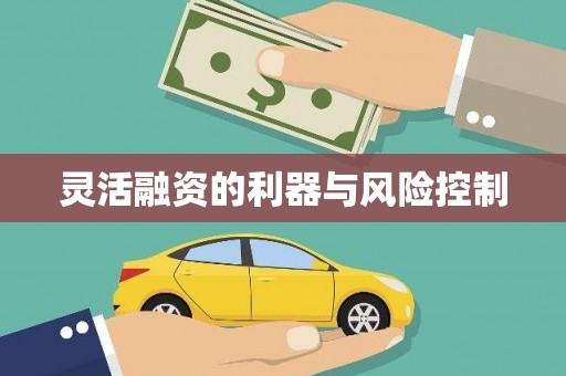 江华灵活融资的利器与风险控制