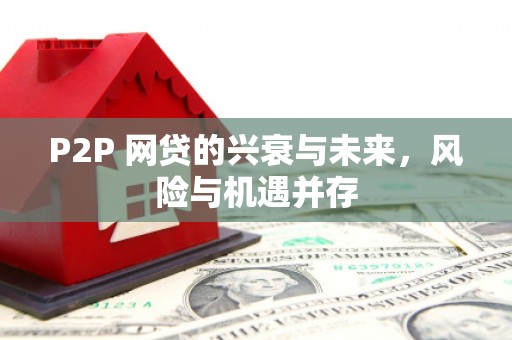 江华P2P 网贷的兴衰与未来，风险与机遇并存