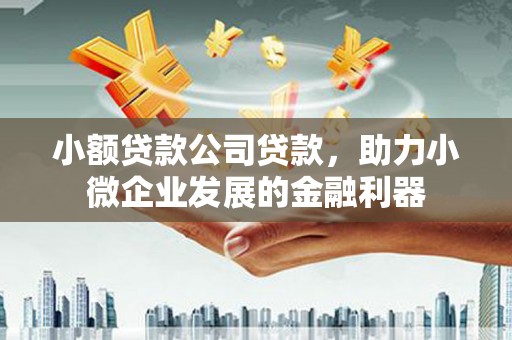 江华小额贷款公司贷款，助力小微企业发展的金融利器