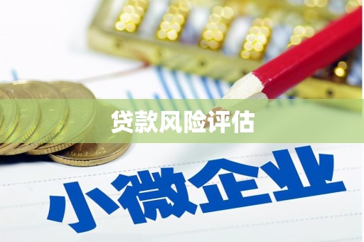 江华贷款风险评估