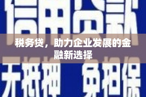 江华税务贷，助力企业发展的金融新选择