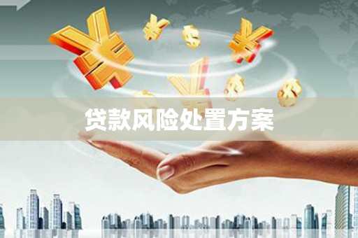 江华贷款风险处置方案