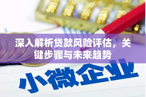 江华深入解析贷款风险评估，关键步骤与未来趋势